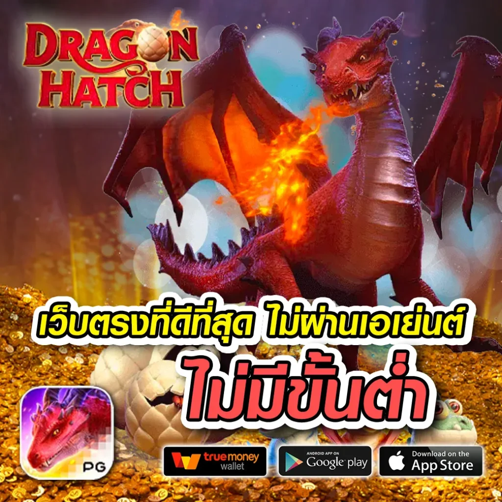 chili-9 มาแรง